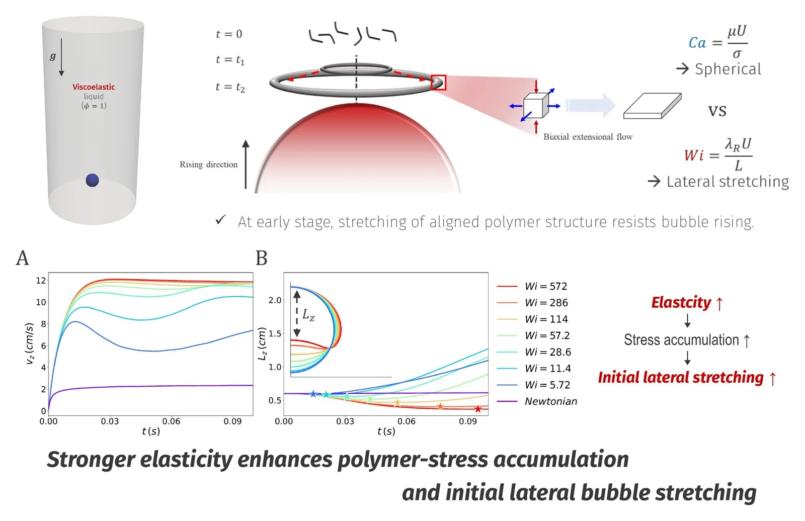 Bubble rising under viscoelasticity — early stage