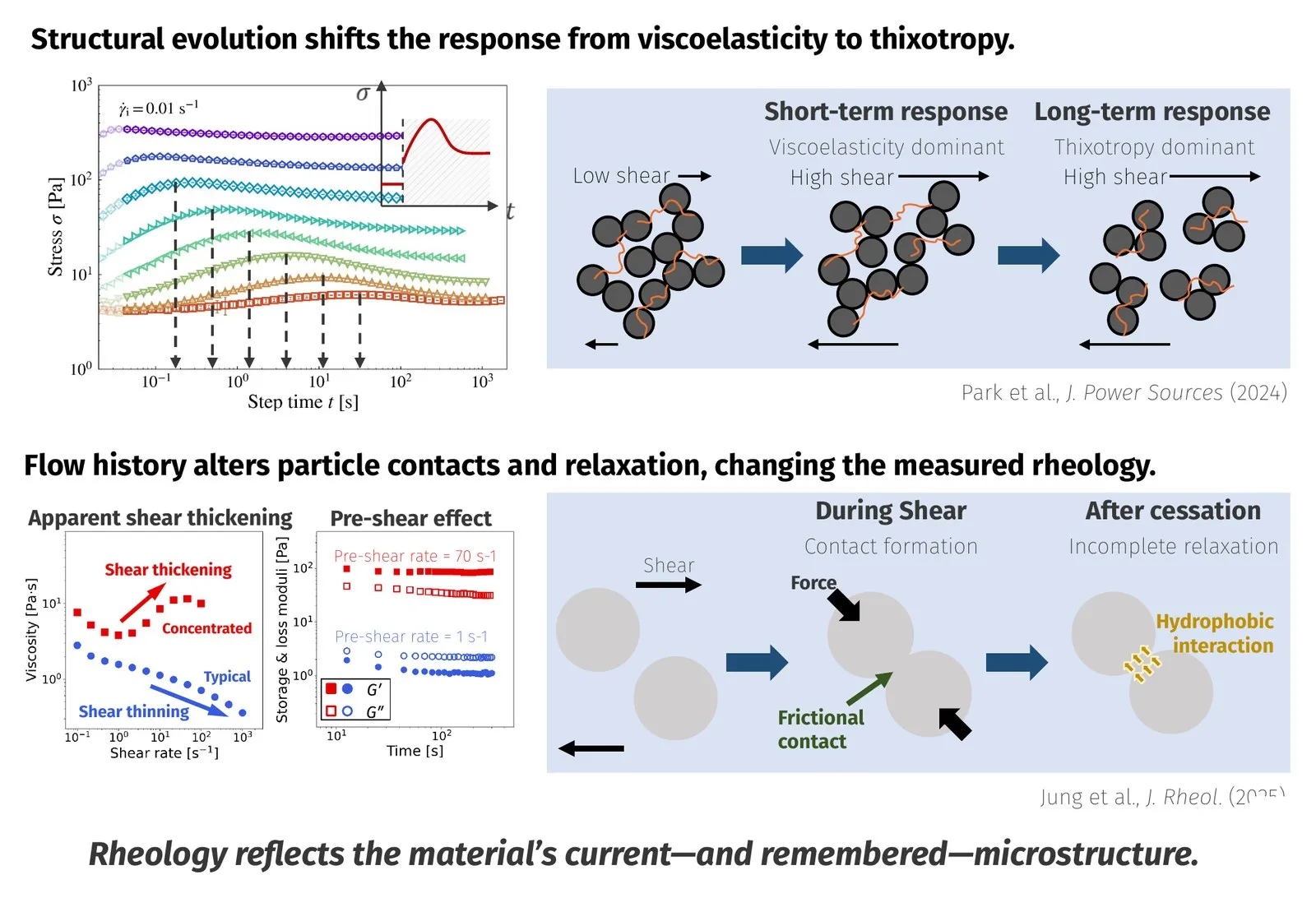 Microstructure links flow to rheology